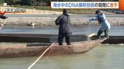 不漁の要因“海水温上昇”の影響把握へ　新潟県が“海水中のDNA”解析技術開発に着手「漁業者の所得向上・経営安定につなげる」