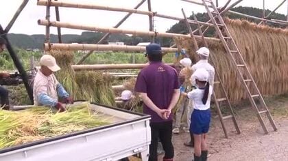 「感謝して食べたいです」能登の小学生が稲刈り 地震・豪雨被害から復活した田んぼで