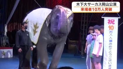 木下大サーカス岡山公演来場者が１０万人を突破　ゾウが迎える中で津山市の小学１年生に記念品【岡山】