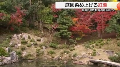 鳥取藩主池田家の菩提寺　古刹「興禅寺」庭園で紅葉拝観始まる　期間限定のライトアップも（鳥取市）