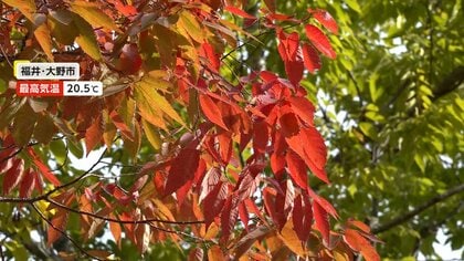 冷たい雨…各地で11～12月並みの気温　遅れていた紅葉色づき始める　10月最後の週末…「博多おくんち」に東京・池袋ではハロウィン前コスプレイベントも