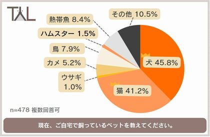 売れているペット 販売