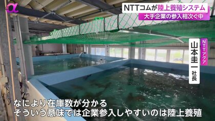 NTTコム「陸上養殖システム」販売…食料自給率向上や地域活性化につなげる狙い 大手企業の参入相次ぐ ｜FNNプライムオンライン