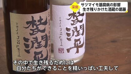 フィギュア 瓶詰め 腐る トップ