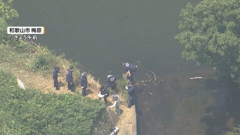 「1人は沈んで1人はうつぶせで浮かんでいた」草刈り中の高齢男性2人、池に転落し死亡　和歌山市