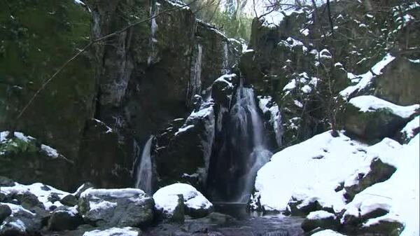 真庭市の山乗渓谷が“氷の世界”に 長さが約2メートルのものも…つららが