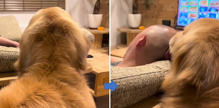 モッシュくんの後ろ姿 何しているのか?横から見ると…