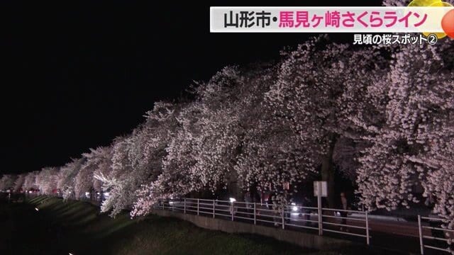 ライトアップされると、昼間とはまた違った雰囲気を楽しむことができる
