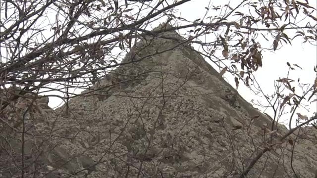 取材したこの日も業者の姿を確認