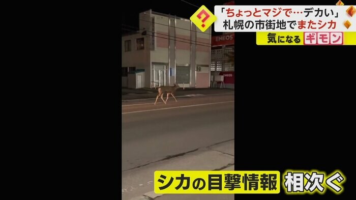 (視聴者撮影)