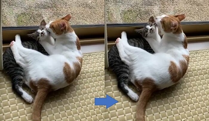 わさびくんは大三くんをなめすぎるのだそう