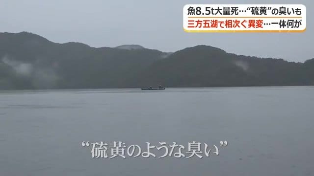 水月湖で報告されている硫化水素の臭い