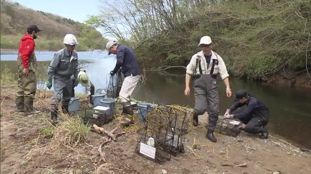 捕獲・駆除できたのは977匹 前年より多い数に