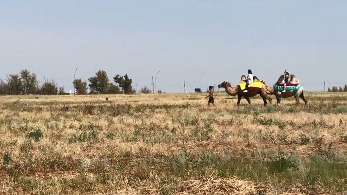 1年間の肉の消費量はロシアNo1 ラクダの肉も食する“肉食パワー”で夏を乗り切る