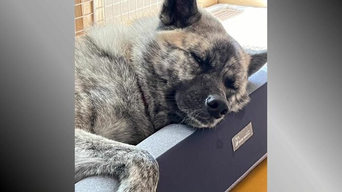 佐藤さんと過ごし徐々に変化が