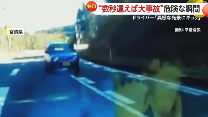 撮影者に向かってきた逆走車(撮影:幸音彪狐)