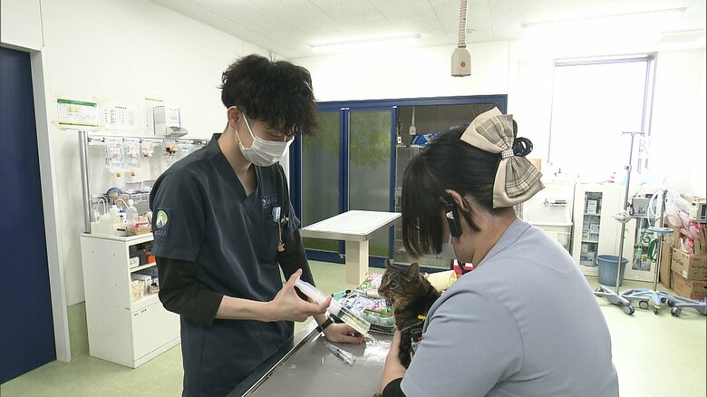 動物病院の“倒産ゼロ時代”は終焉へ　淘汰の時代を生き抜くカギはどこに？　ペットが長寿化する中で高まる要求水準　飼い主の獲得競争が激化　さらに高度な医療機器の導入に伴う負担の増加も｜FNNプライムオンライン