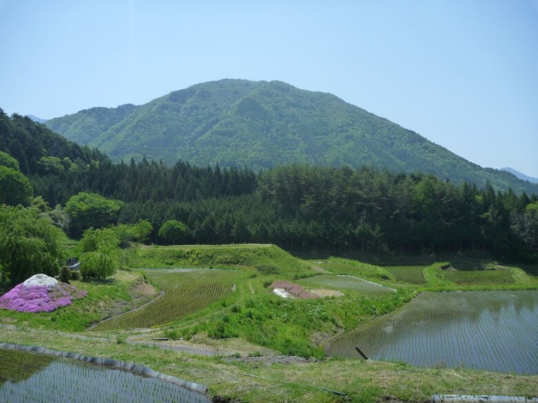 「急な斜面を落ちて、痛くて自力で戻れない」風越山で51歳男性が下山中に滑落　県警ヘリで救助　日帰り予定で単独登山｜FNNプライムオンライン