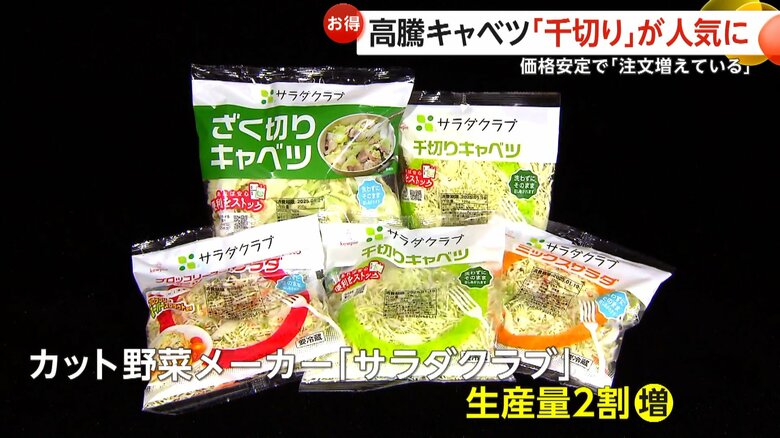 「正直言って赤字」　1玉400円台…平年比“約3.3倍”の高騰にキャベツの「千切り」が人気　価格安定で生産量2割増「注文増えている」｜FNNプライムオンライン
