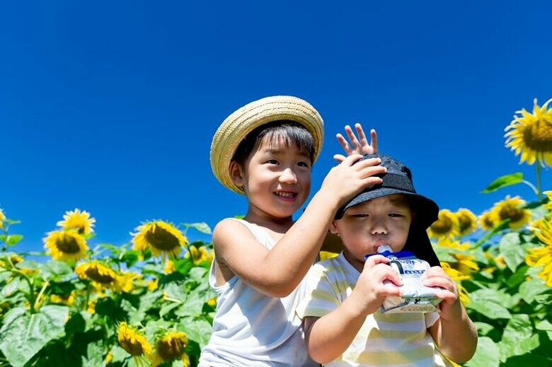 物価高でお出かけに変化はあった? 子育て世代のお出かけ費用と工夫とは【夏休みのお出かけ結果調査レポート(2)】/いこーよ総研ユーザーアンケート