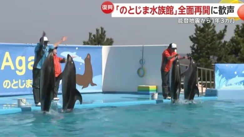 【完全復活】のとじま水族館が能登半島地震から1年3カ月で全面再開　人気のイルカショーに歓声…入場料“値上げ”に「歓迎の声」も｜FNNプライムオンライン