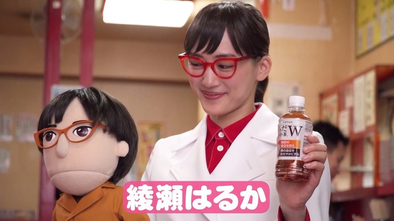 綾瀬はるかと綾瀬はるお