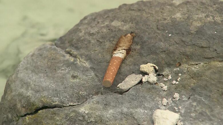 周辺にはたばこの吸い殻まで