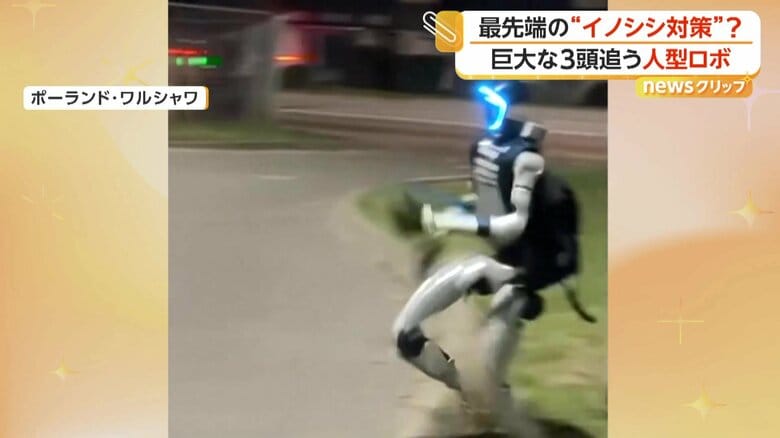 イノシシを追い払ったロボット
