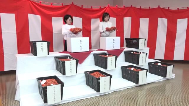 砺波市 チューリップ球根を皇室に献上