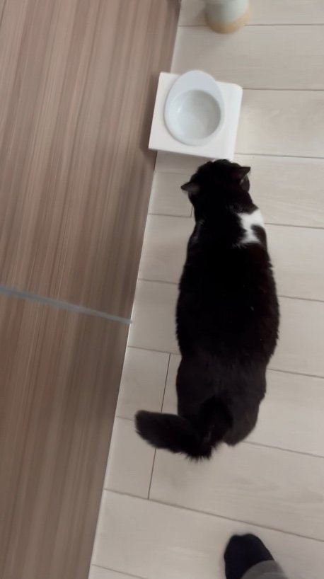 ほら（提供：卵山玉子先生）