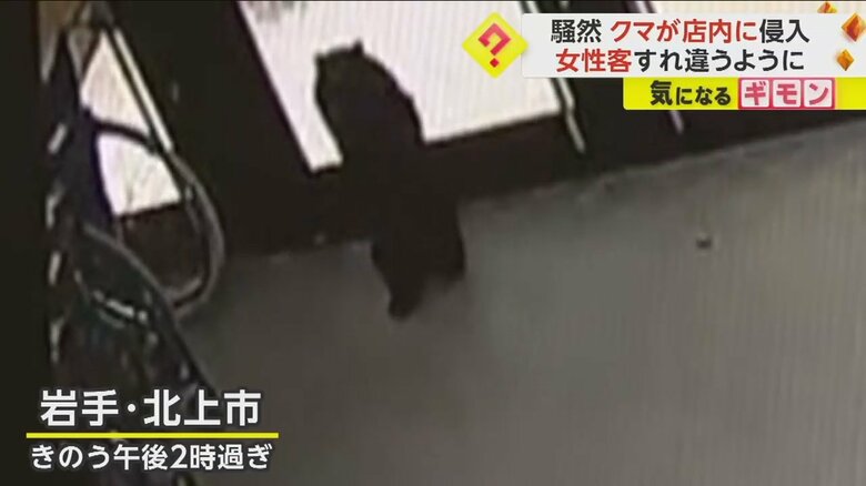 店の従業員によると「暴れることもなく、本当に小さい子グマがうろうろしている感じ」だったという