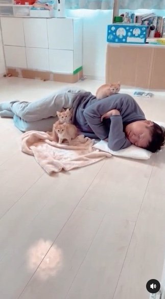 提供：oimo & yuzukiさん