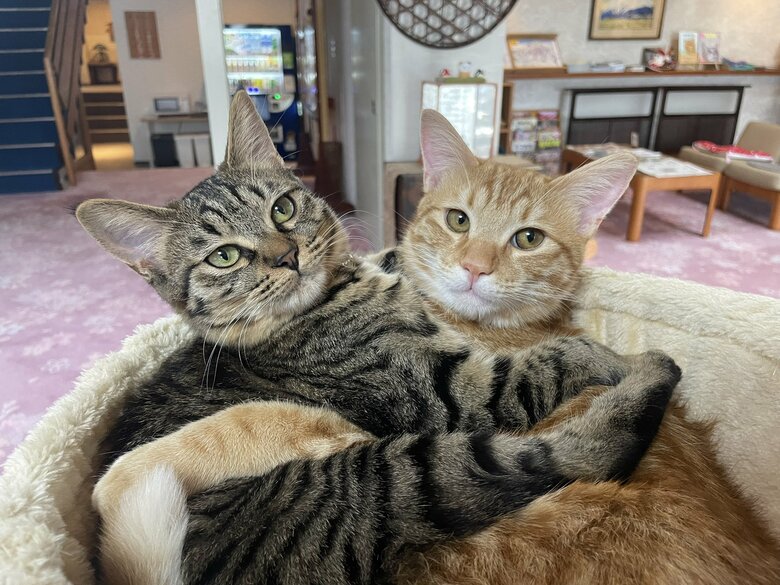 成長したあんずちゃん（左）、うめ吉くん