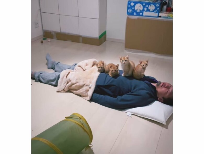 4匹が乗ってもぐっすりな旦那さん（提供：oimo210さん）