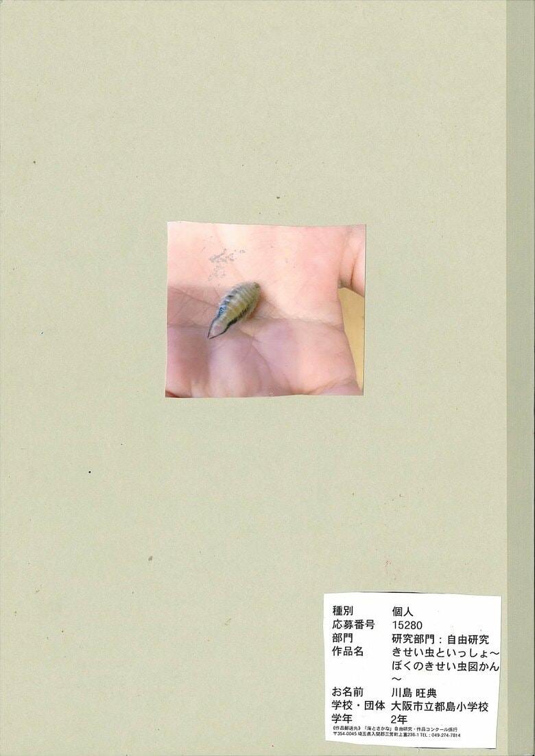裏表紙