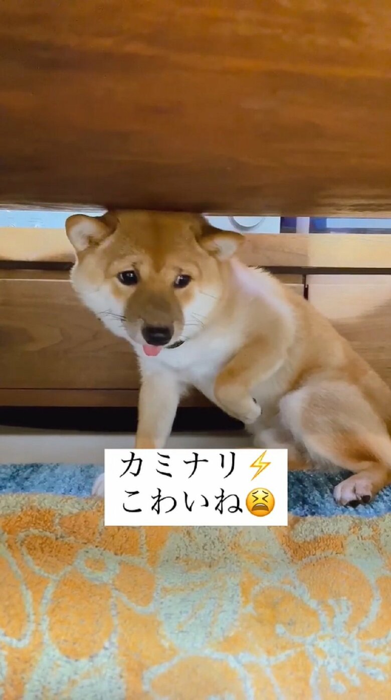テーブルの下へ避難