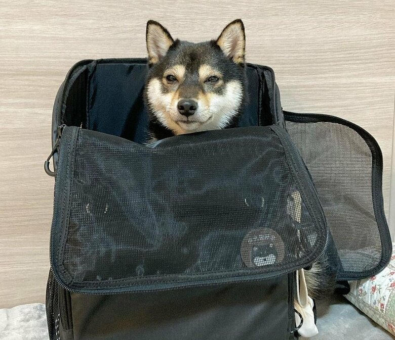 リュックの横が開いているので出入り自由