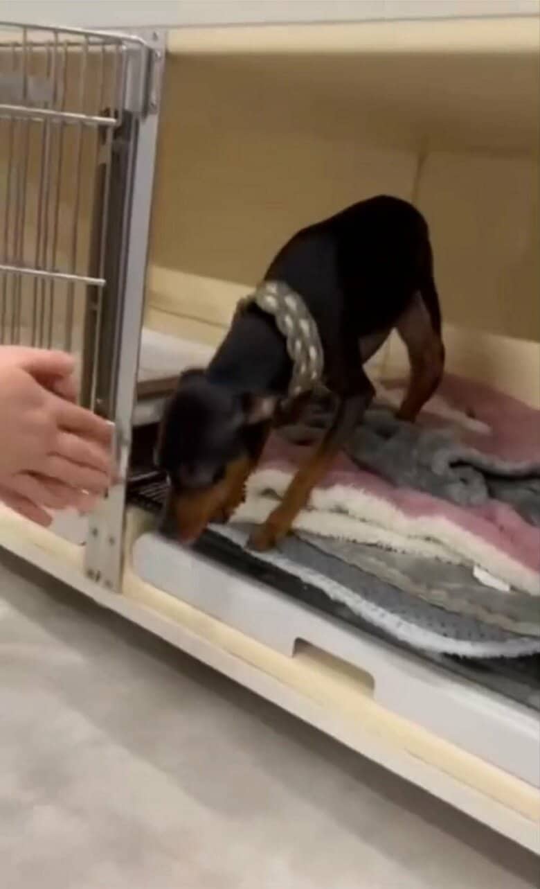 ホテルスタッフに呼ばれると…