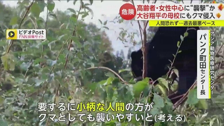 人の気配も気にしていない様子だったという（宮城・大崎市　19日）