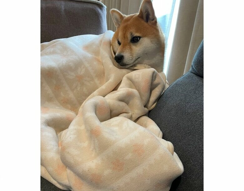 提供：赤柴いちさん