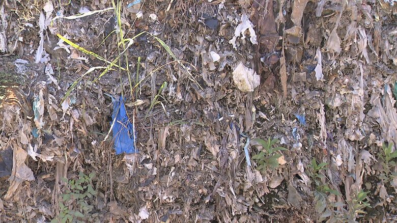 東京23区ゴミ処分場で埋め立てられたゴミ（東京都江東区海の森）