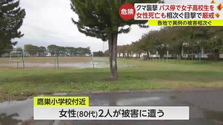 秋田・北秋田市では小学校のすぐ近くにクマが