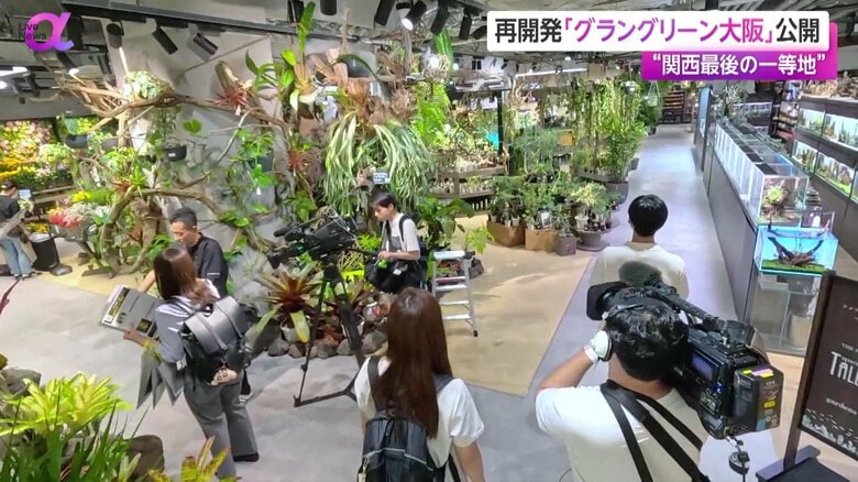 飲食店やホテルなどを報道陣に公開
