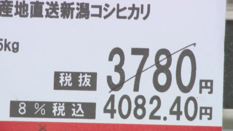2月から1袋500円↑