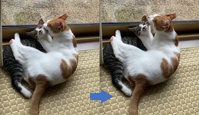 わさびくんは大三くんをなめすぎるのだそう