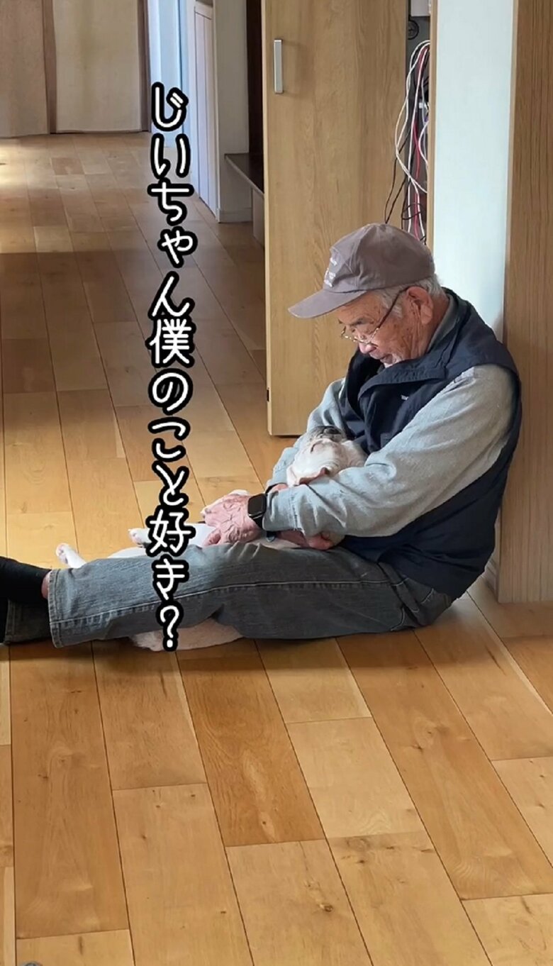 ブン太くん「じいちゃん僕のこと好き？」