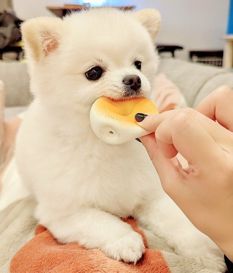 パクリ