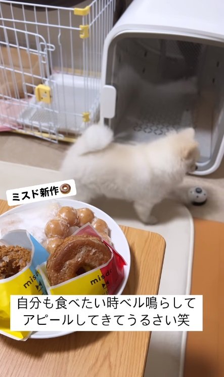さらに追加ベル