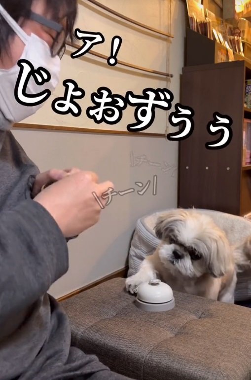 ベルを鳴らしておやつをもらう遊び