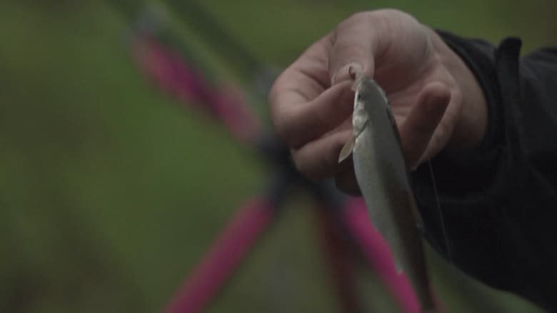 ウナギかと思いきや…ウグイ！